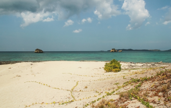 A view from Tinalisayan Island